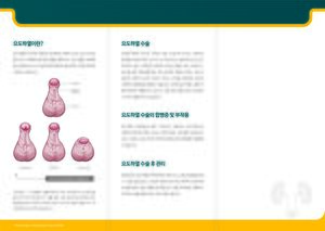 요도하열 최종 페이지 2.jpg