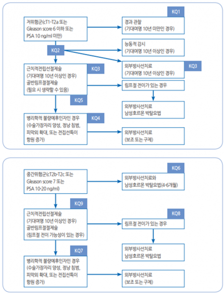 파일:핵심질문별치료요약1.png