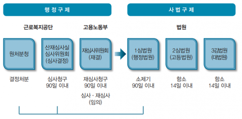 파일:비뇨기계장애감정지침서 그림2.png