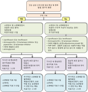 급성신우신염.png