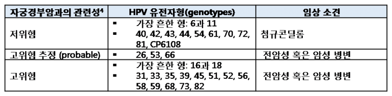 파일:Condyloma Acuminata 1.1.png