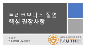 Template 핵심 권장사항.pdf