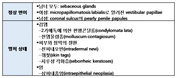 Condyloma Acuminata 3.2.png